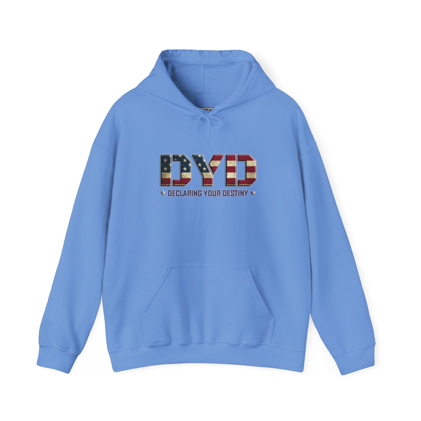 Declaring Your Destiny USA/ Winged Guardian Unisex Heavy Blend™ Hooded Sweatshirt