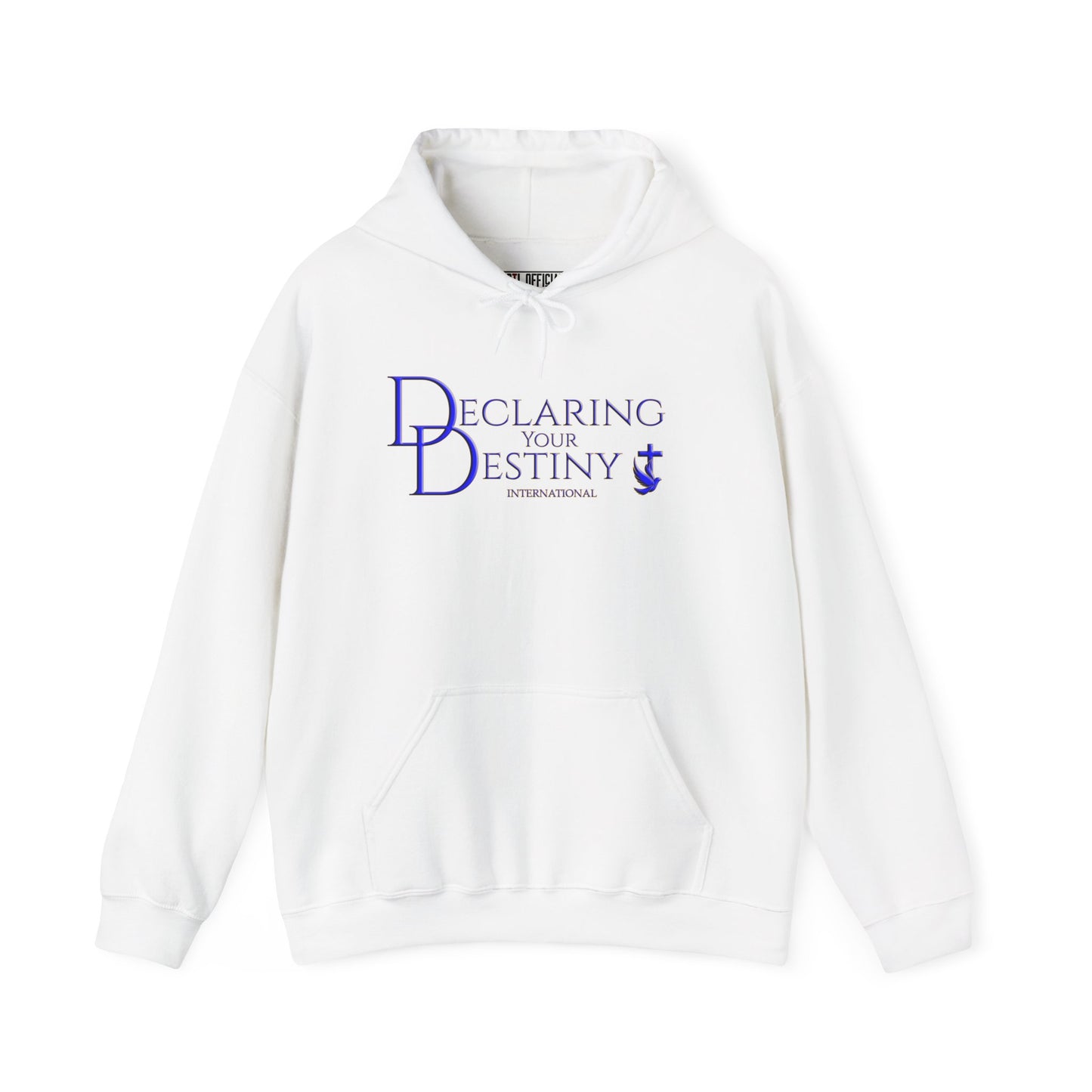 Declaring Your Destiny Blue & Gold logo/ Alpha & Omega Jesu Walking On Water Unisex Heavy Blend™ Hooded Sweatshirt