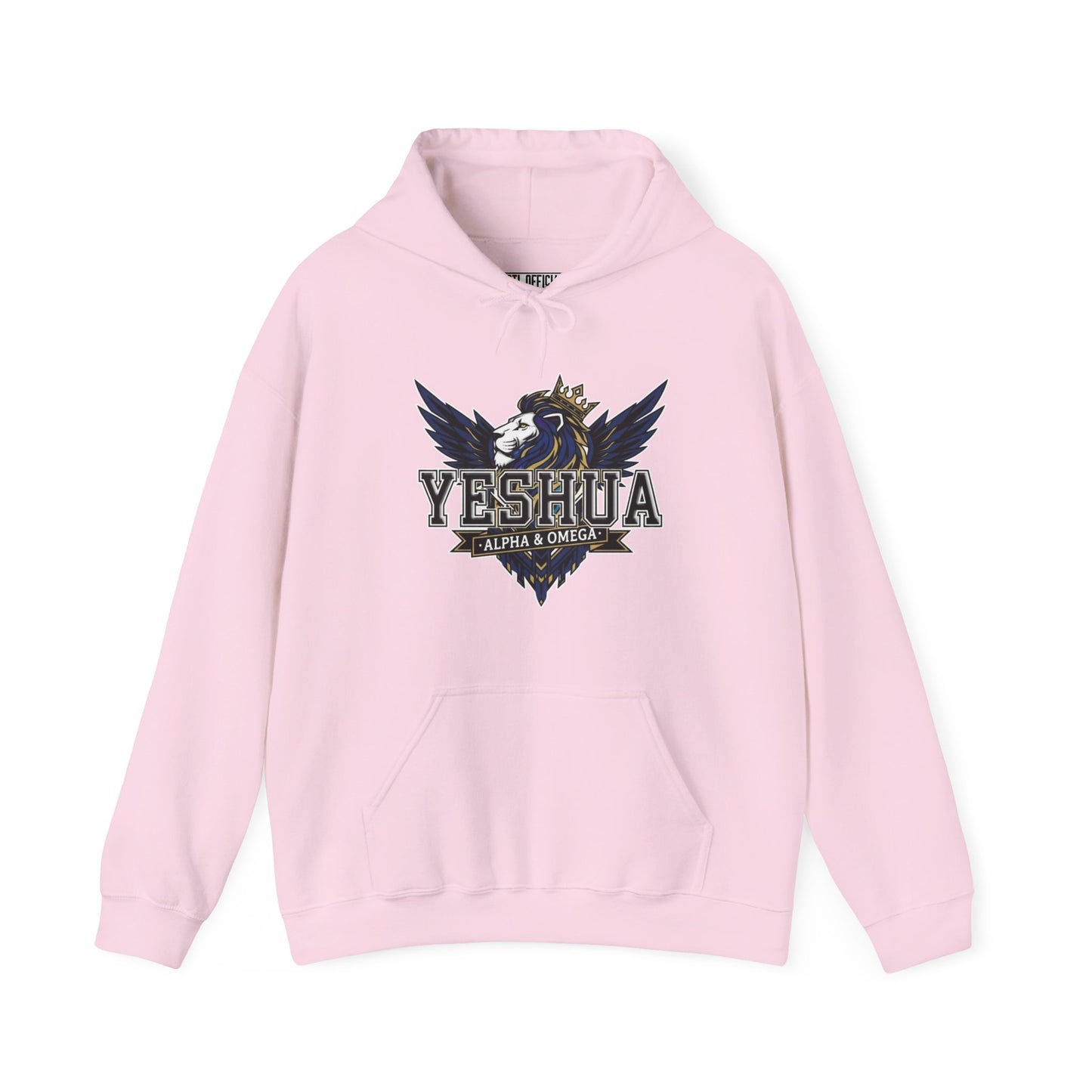 Yeshua: Lion of Judah Reigns Christian Hoodie
