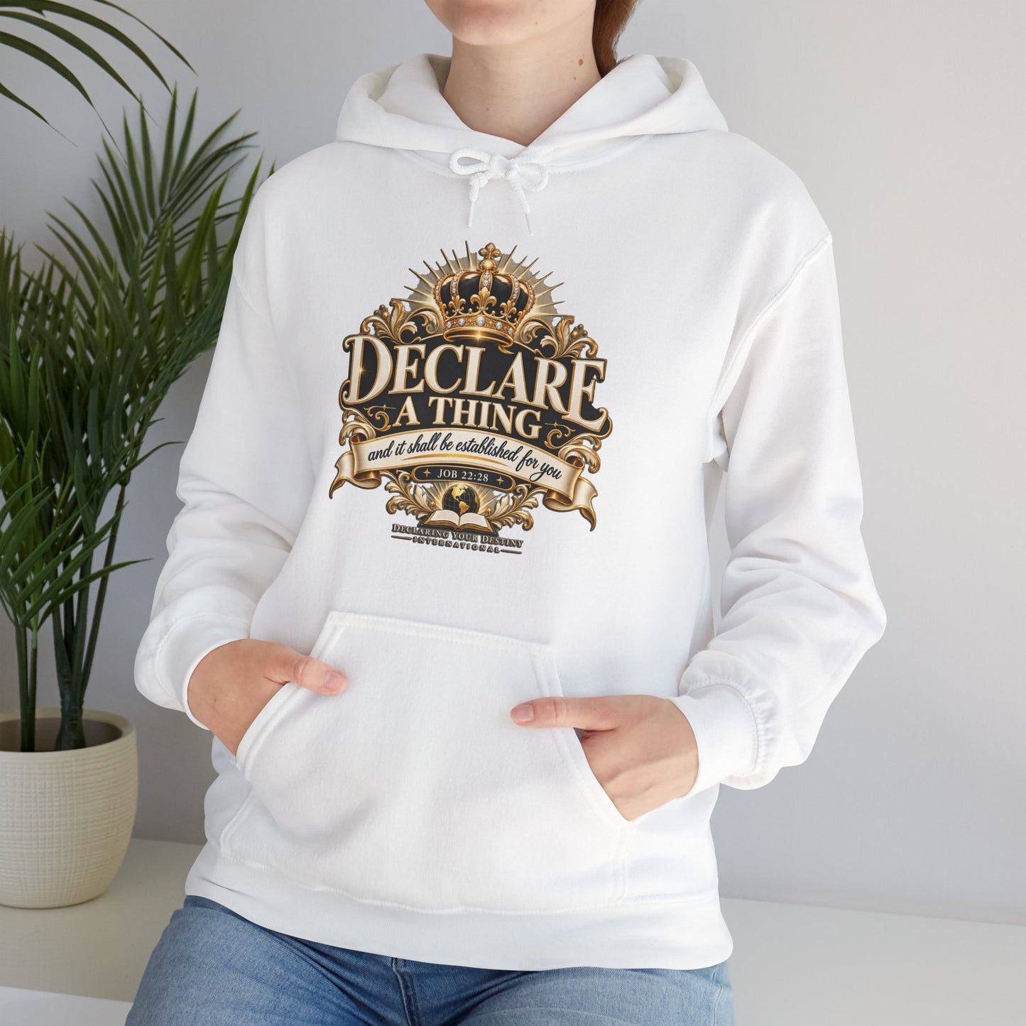 Declare a Thing DYDI Christian Hoodie