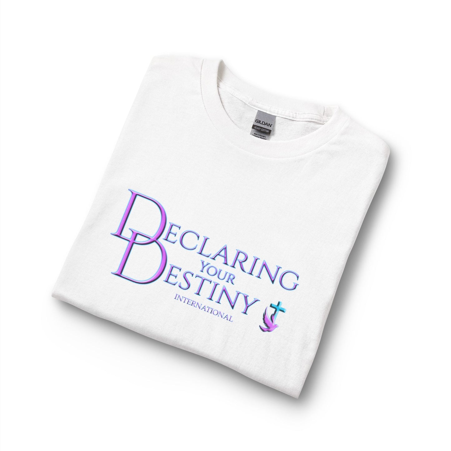 Declaring Your Destiny Long Sleeve Shirt