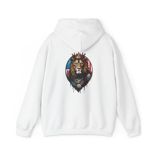 Declaring Your Destiny USA/ Royal Majesty Unisex Heavy Blend™ Hooded Sweatshirt