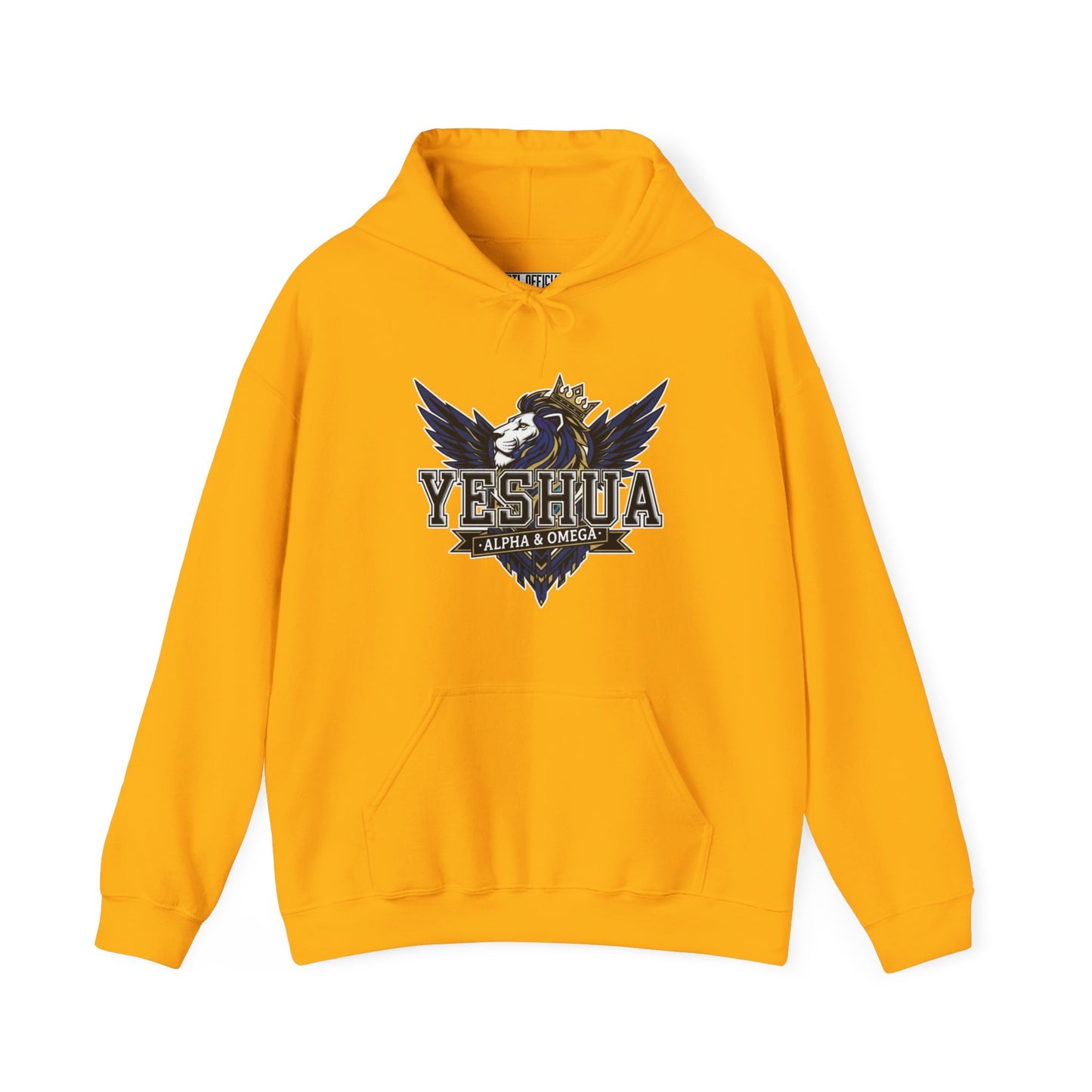 Yeshua: Lion of Judah Reigns Christian Hoodie