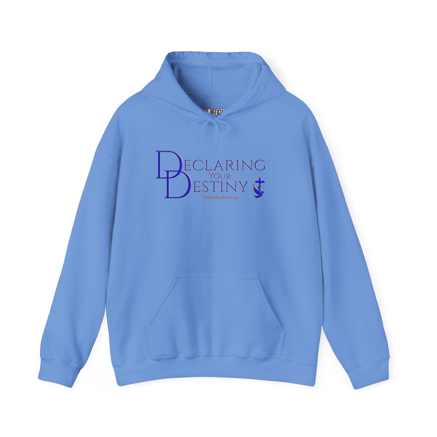 Declaring Your Destiny Blue & Gold logo/ Alpha & Omega Jesu Walking On Water Unisex Heavy Blend™ Hooded Sweatshirt