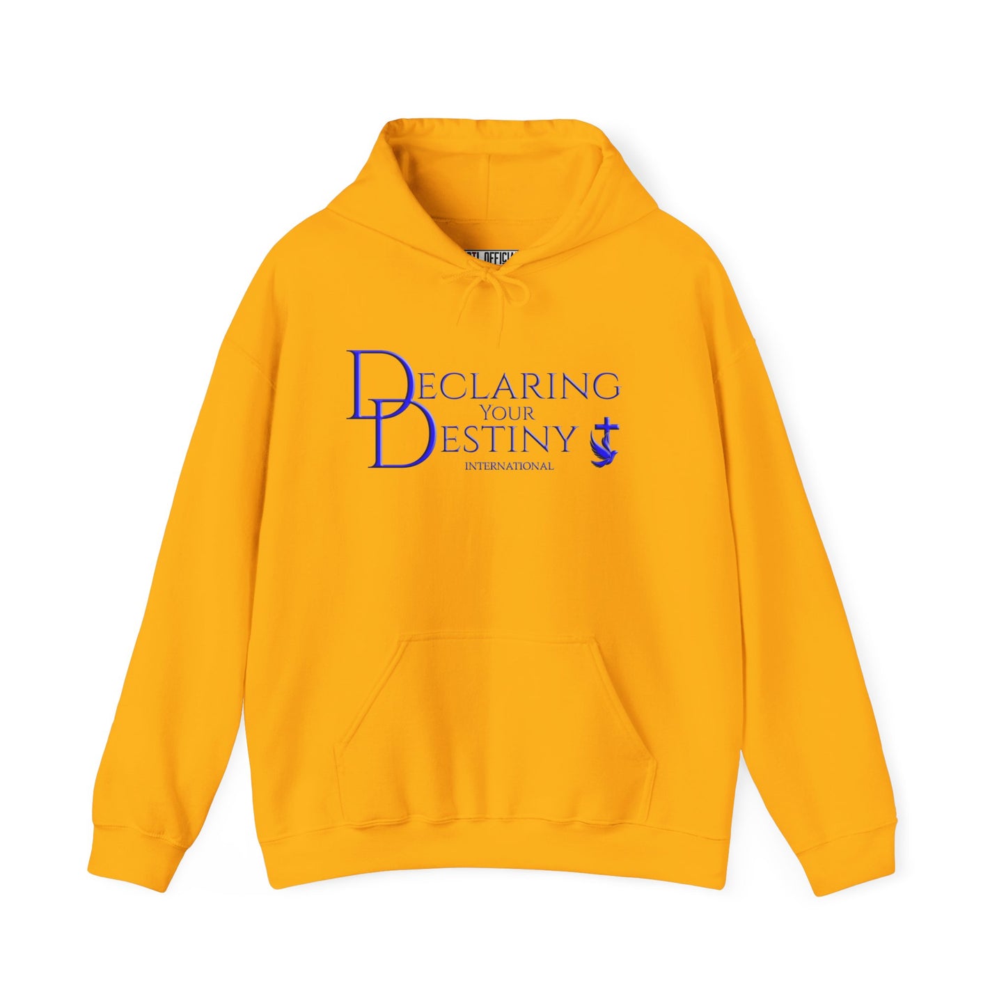 Declaring Your Destiny Blue & Gold logo/ Philippians 4:13  Unisex Heavy Blend™ Hooded Sweatshirt