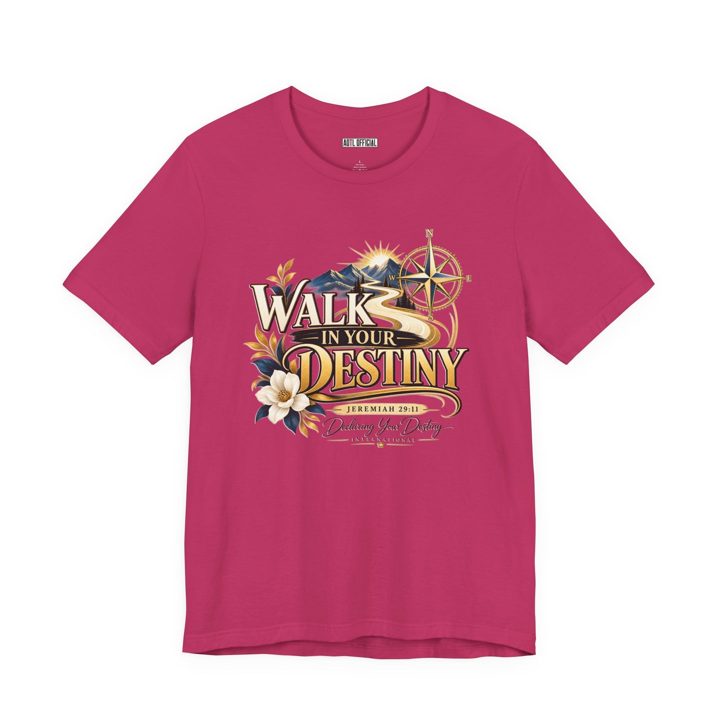 Walk in Your Destiny DYDI Christian T-shirt