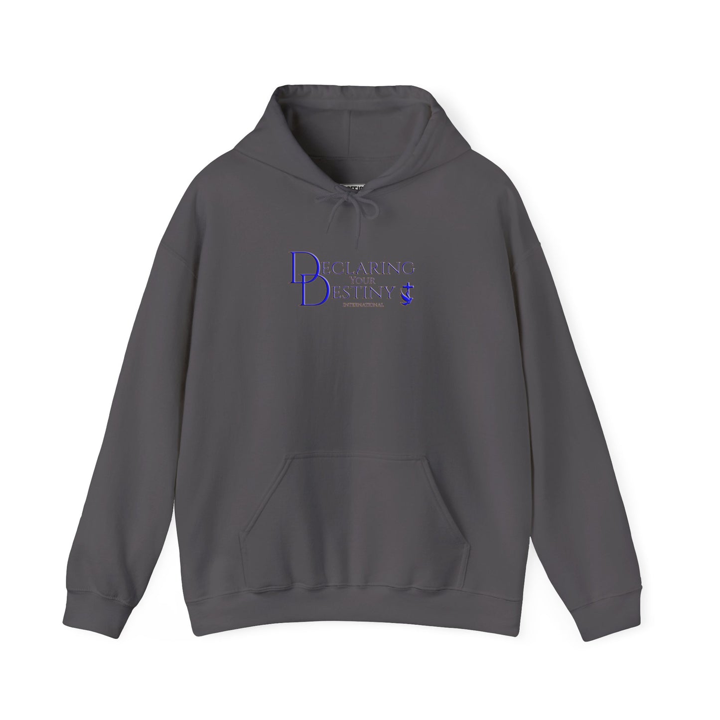 Declaring Your Destiny Blue & Gold logo/ Alpha & Omega Jesu Walking On Water Unisex Heavy Blend™ Hooded Sweatshirt