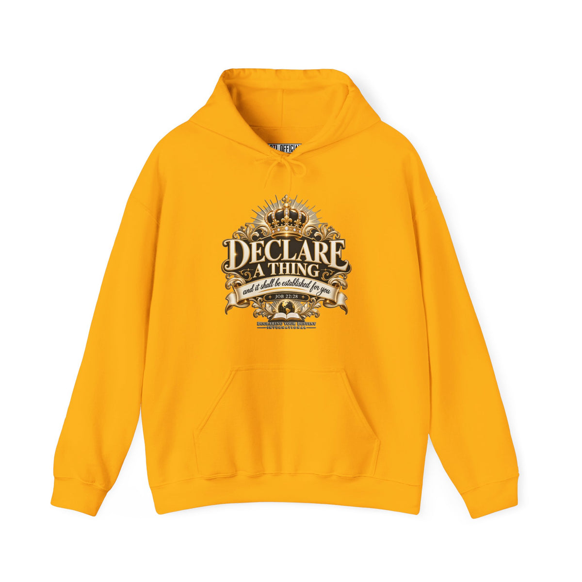 Declare a Thing DYDI Christian Hoodie