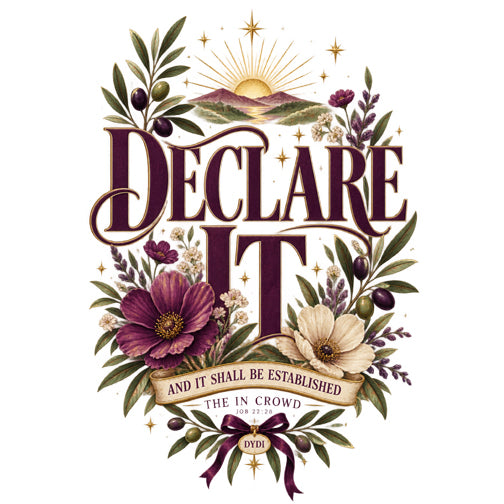 Declare It  DYDI Christian T-shirt
