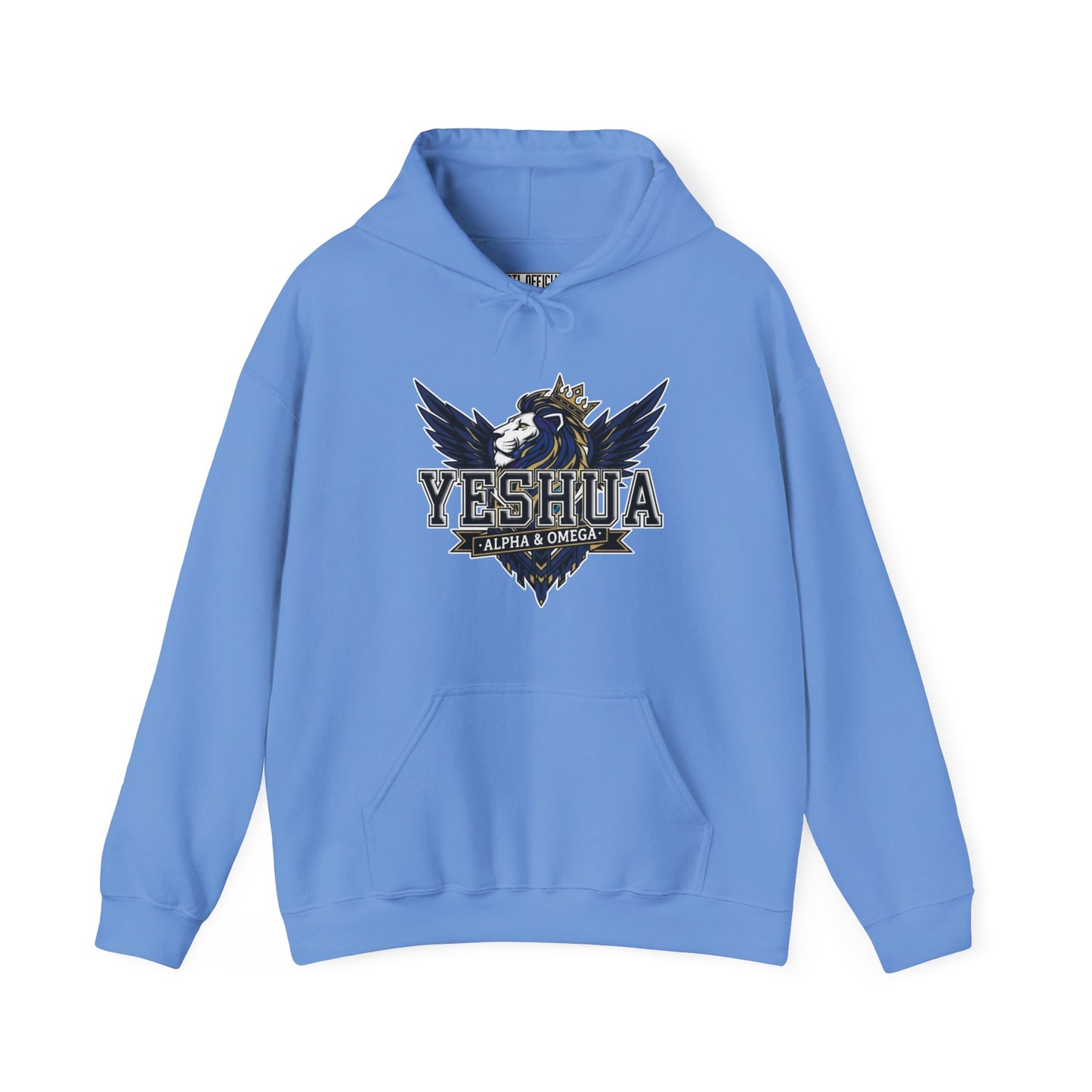 Yeshua: Lion of Judah Reigns Christian Hoodie