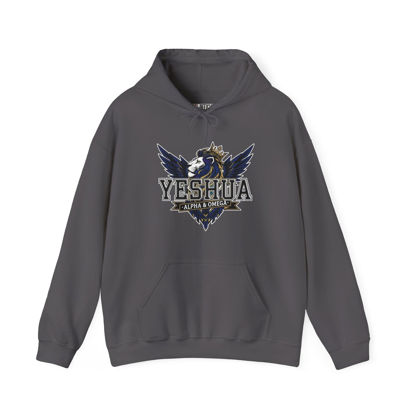 Yeshua: Lion of Judah Reigns Christian Hoodie