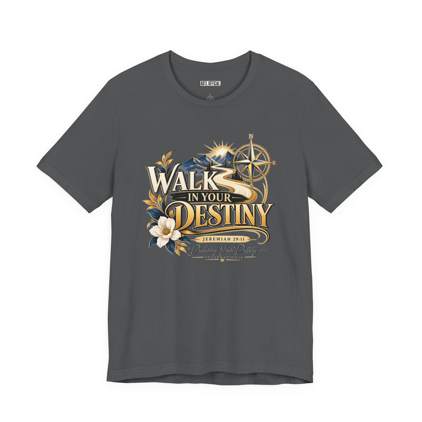 Walk in Your Destiny DYDI Christian T-shirt
