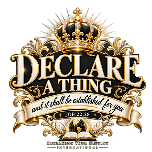 Declare a Thing DYDI Christian T-shirt