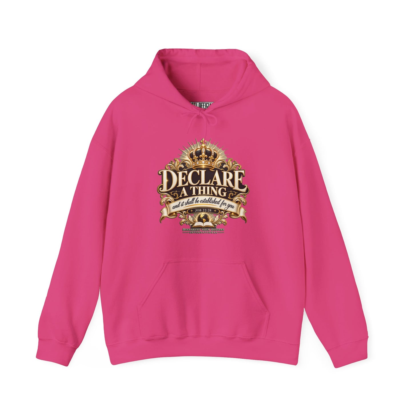 Declare a Thing DYDI Christian Hoodie