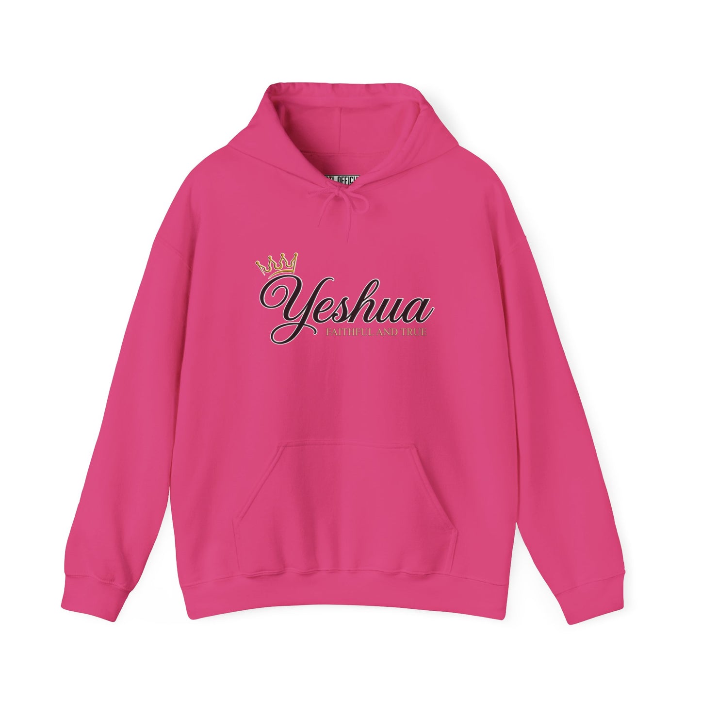 Faithful And True Christian Hoodie