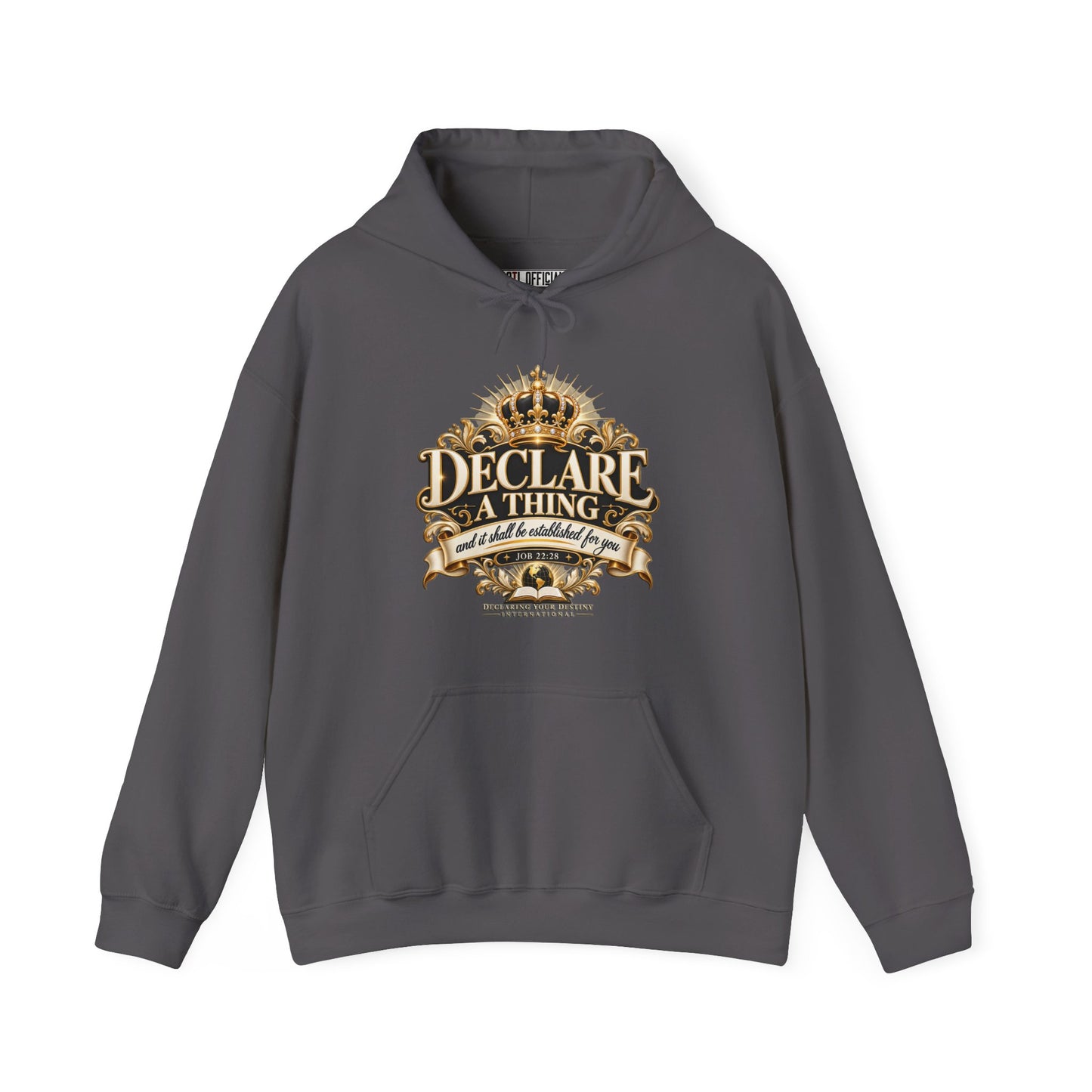 Declare a Thing DYDI Christian Hoodie