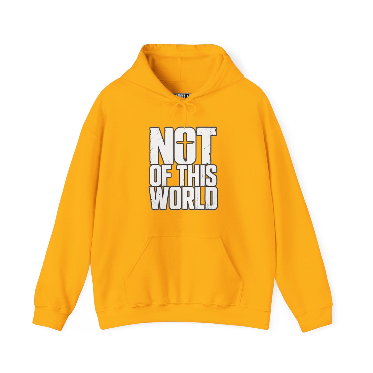 Not Of This World White Text Christian Hoodie