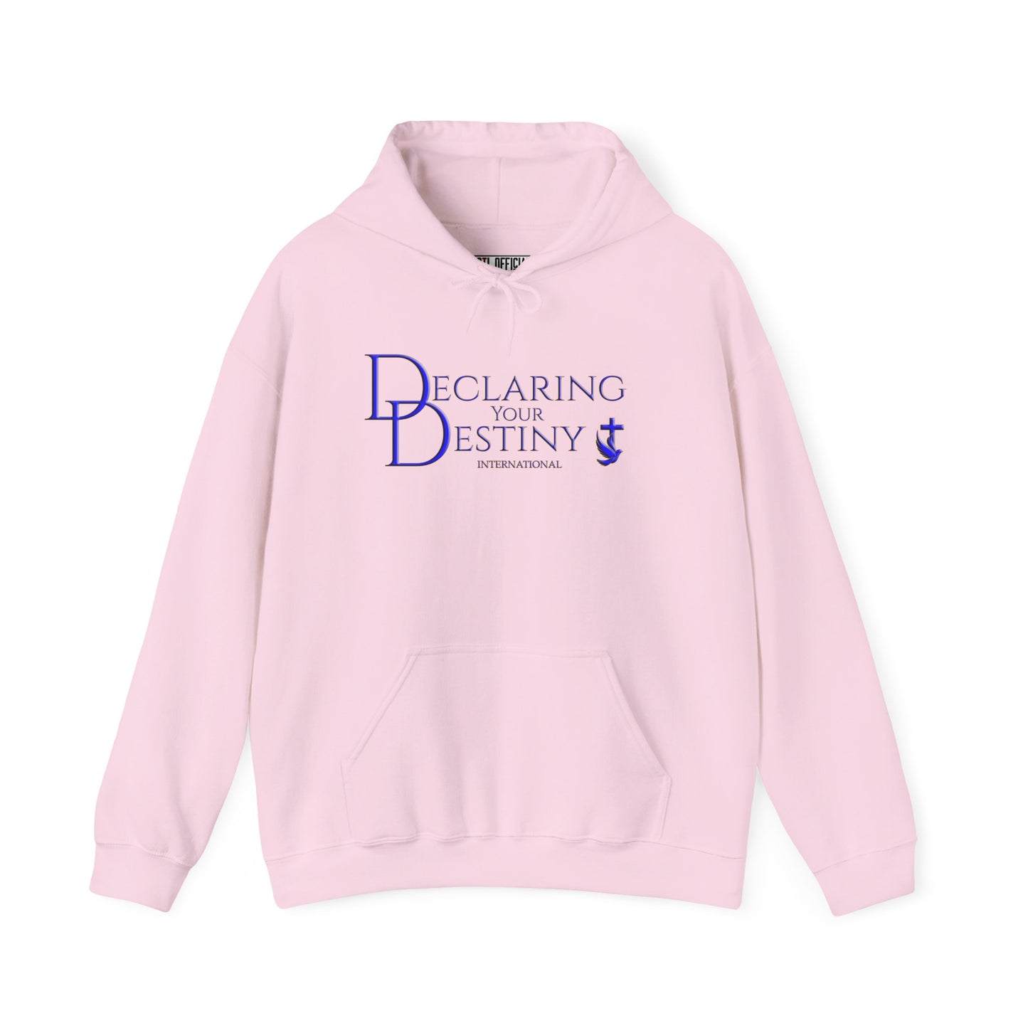 Declaring Your Destiny Blue & Gold logo/ Alpha & Omega Jesu Walking On Water Unisex Heavy Blend™ Hooded Sweatshirt