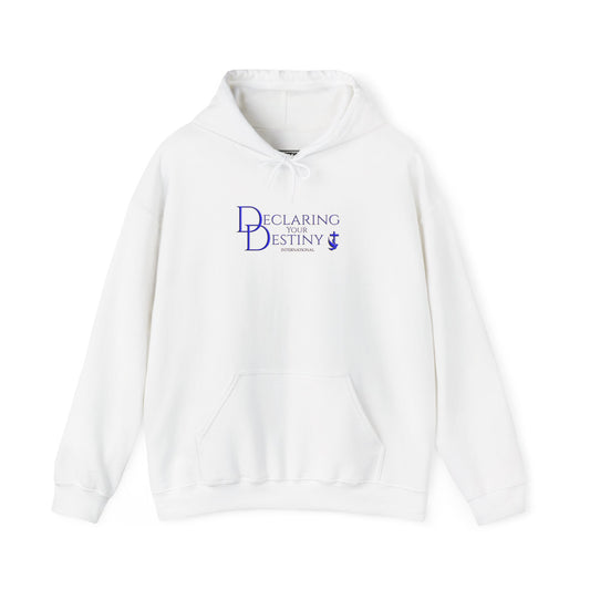 Declaring Your Destiny Blue & Gold logo/ Alpha & Omega Jesu Walking On Water Unisex Heavy Blend™ Hooded Sweatshirt